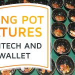 An assembly of earthen pots filled with coins, symbolizing saving pots in fintech