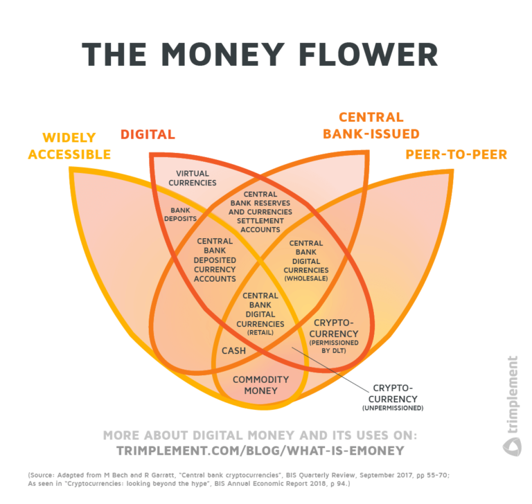https://www.trimplement.com/blog/wp-content/uploads/2020/10/Money-flower-digital-currency-emoney-overview-768x728.png